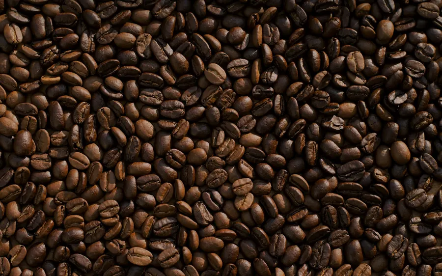 Freshly roasted coffee beans